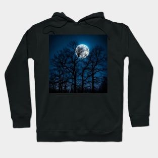 Glowing Moon, Bare Winter Trees, Star-filled Sky Hoodie